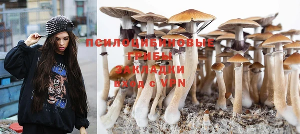 МДМА Инсар