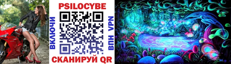 Купить  Белорецк  Галлюциногенные грибы Cubensis 